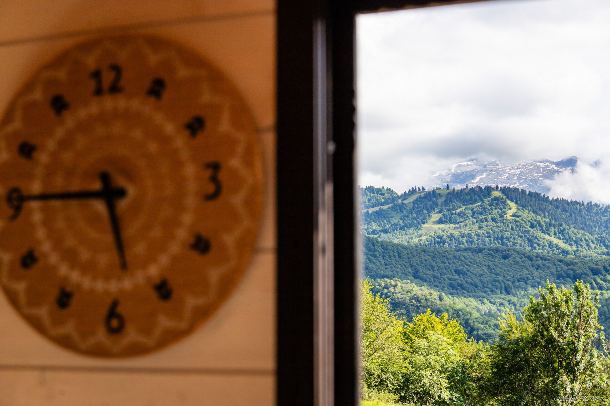 Pyrenees view