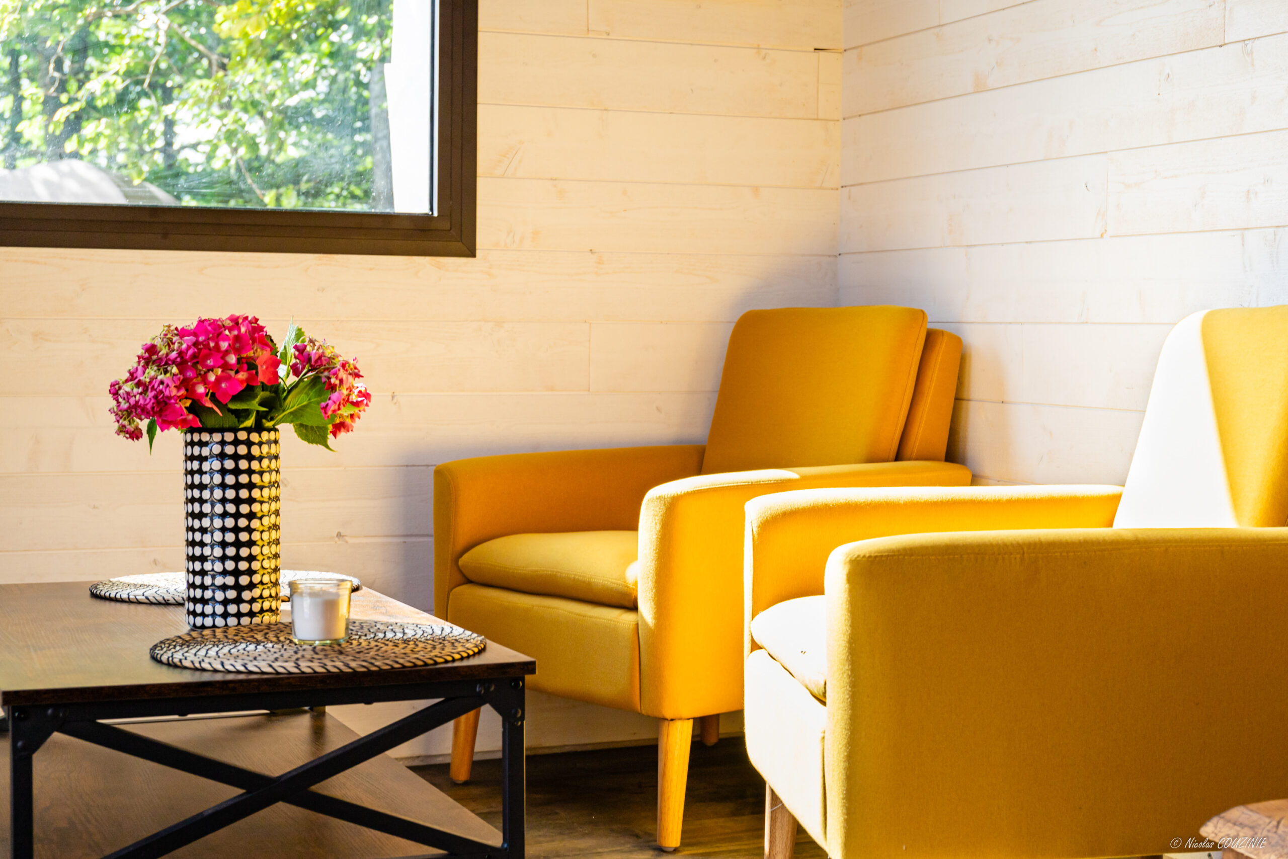 Salon — fauteuils et fleurs